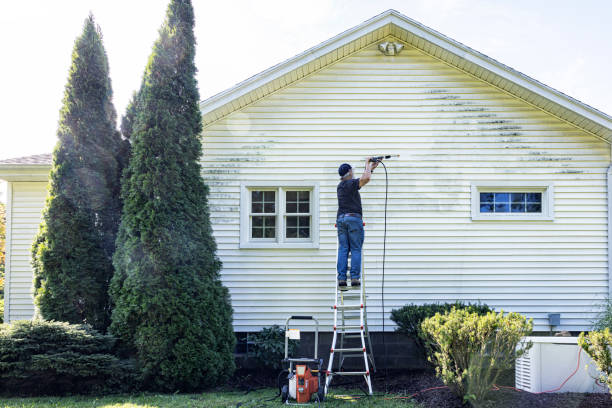 Best Affordable Pressure Washing  in Belleville, WI