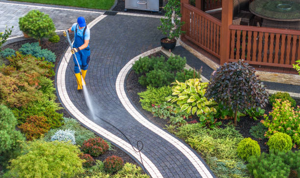 Best Pressure Washing Patio  in Belleville, WI